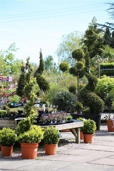 IMG_6908-Small-2-rotated